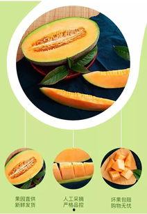 三亚最新吃瓜视频网站,揭秘热门事件，带你一网打尽岛城热点