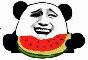 一个吃瓜群众大笑视频,笑翻全场！吃瓜群众搞笑视频引网友爆笑