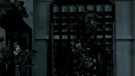 纹身吃瓜视频素材,揭秘吃瓜视频中的纹身文化