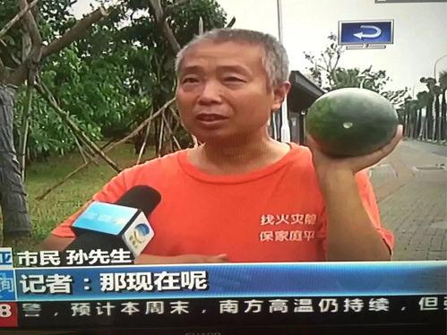 合肥新闻吃瓜事件视频回放,揭秘背后真相与争议