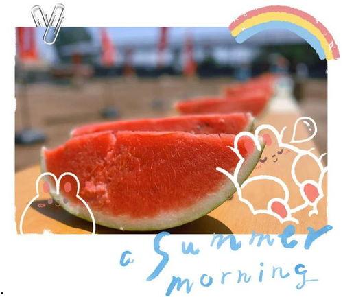 神仙吃瓜现场视频,揭秘娱乐圈幕后风云