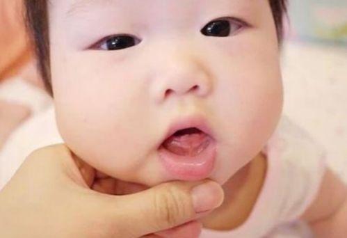 福瓜长牙可以吃吗视频,揭秘宝宝辅食新选择
