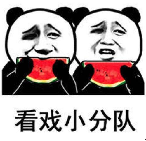 表情包视频吃瓜,表情包视频带你领略网络潮流