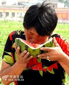 农村吃瓜老太太视频,揭秘乡村生活的真实写照