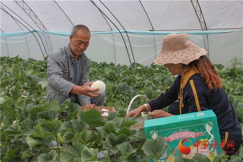 天水市秦安县吃瓜视频