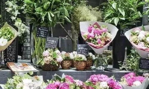 花店姐姐吃瓜视频在哪看,热门内容在线观看攻略