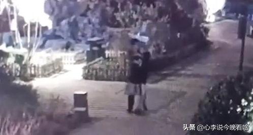 临朐吃瓜事件视频播放,视频曝光引发网友热议