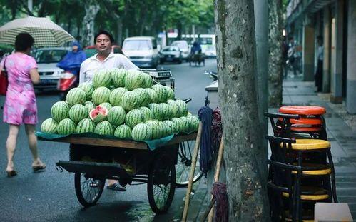 吃瓜视频售卖,揭秘热门瓜子的幕后故事