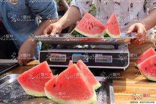 聊城万达吃瓜视频,一场网络热议的围观盛宴