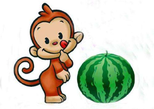 西瓜视频吃瓜大猴子,大猴子吃瓜，带你领略趣味生活瞬间