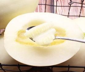 脆瓜什么季节吃最好呢视频,脆瓜最佳食用季节揭秘