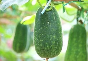 最新最热吃瓜视频大全,揭秘娱乐圈幕后真相