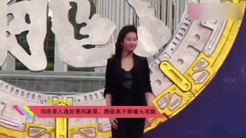 旁听吃瓜后续故事视频大全,旁听吃瓜后续故事视频全集回顾