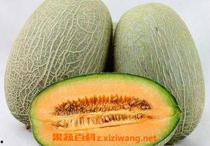 吃哈密瓜要打皮吗视频讲解,哈密瓜去不去皮？视频揭秘正确食用方法