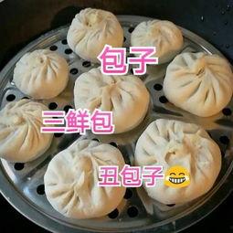 冬至吃瓜馅包子好吗视频,创意馅料新体验