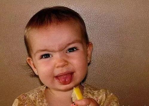 吃瓜磕脸搞笑视频,带你领略欢乐瞬间