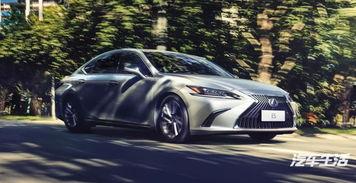 深圳雷克萨斯吃瓜事件视频