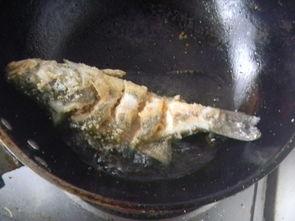 大鱼儿吃瓜视频全集,揭秘全集中的精彩瞬间与感人故事