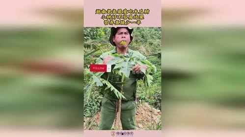 越南老表吃瓜视频在线观看,揭秘东南亚独特美食文化