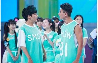 大张伟吃瓜翻车视频全集,揭秘视频全集背后的真相与笑料