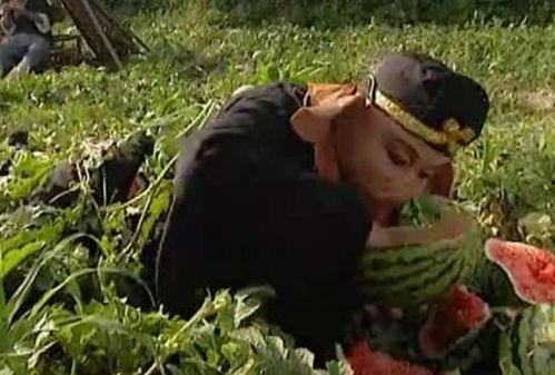 猪八戒搞笑吃瓜视频大全,笑料百出欢乐无限