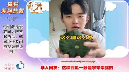 吃瓜拍视频的人,揭秘网络红人的幕后生活