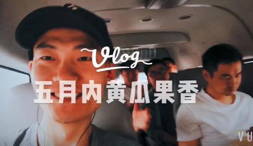 带你吃瓜主播视频下载,揭秘热门内容背后的下载攻略