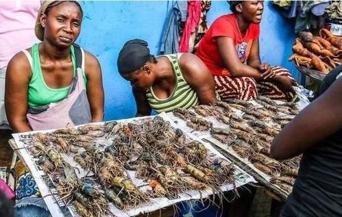 非洲人群吃瓜视频播放器,一起探索非洲人群的“吃瓜”世界