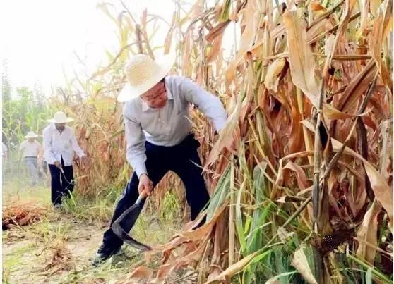 金乡视频吃瓜后续