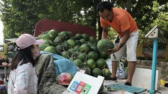 济宁汶上吃瓜事件视频,一场引发热议的网络视频风波