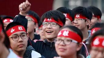 深圳群众吃瓜视频,一场全民参与的“瓜界盛宴”