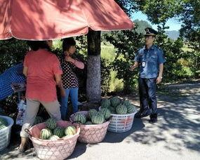 吃瓜群众宣传片视频大全,揭秘宣传片背后的趣味与真相