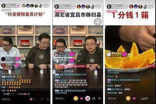 焦作吃瓜事件汇总视频播放,视频汇总背后的热点追踪与舆论分析
