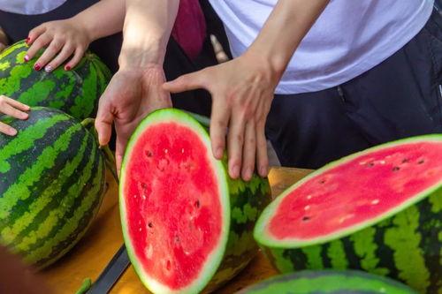 大学城吃瓜视频,揭秘校园生活那些事儿