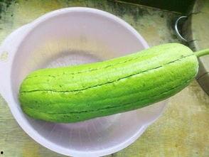 福建水瓜怎么吃才好吃视频,视频教你家常做法