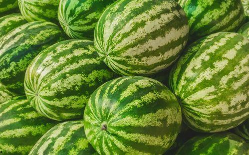 福州小鲜花吃瓜事件视频,网络热议背后的真相揭秘