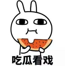 全网吃瓜第一人是谁啊视频,揭秘“吃瓜第一人”的传奇故事