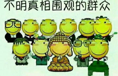 小考吃瓜群众视频,揭秘校园热事背后的真相