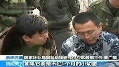 热门吃瓜话题视频大全