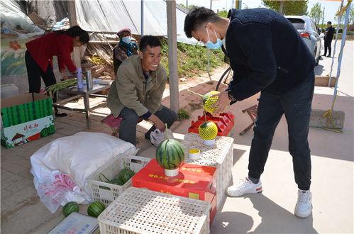 商河吃瓜事件视频,一场引发热议的网络视频风波