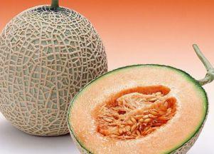 小洪吃哈密瓜视频全集