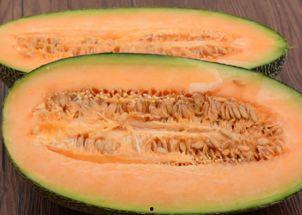 小傻瓜吃哈密瓜视频大全,萌态百出视频大盘点