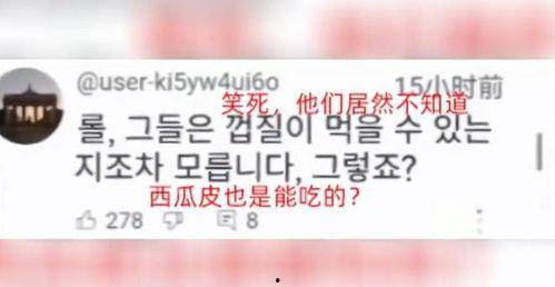 韩国看猪吃瓜网站视频,揭秘网络热门视频背后的趣味与争议